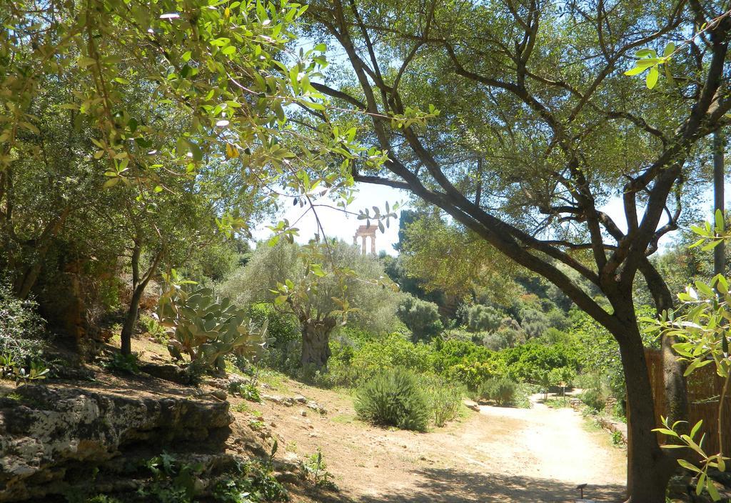 B&B סן לאונה מראה חיצוני תמונה