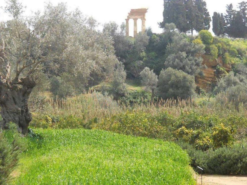 B&B סן לאונה מראה חיצוני תמונה
